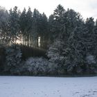 Wechselspiel - Rauhreif und Sonnenlicht