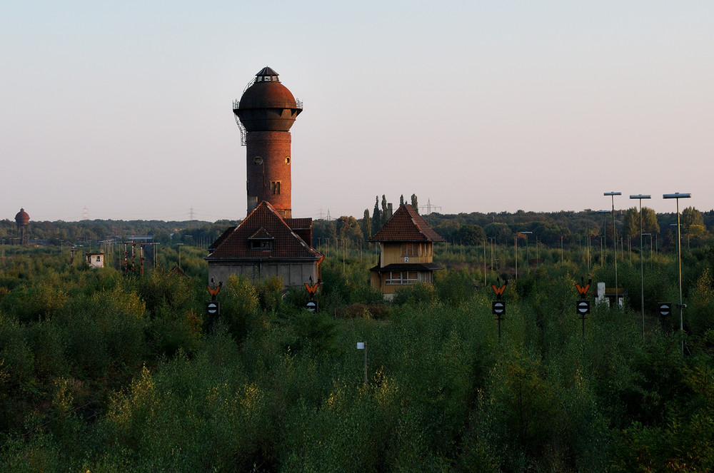 Wedau 2009