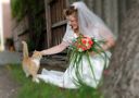 wedding von -Ingo- 