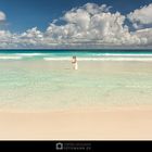 Wedding at Tetiaroa, "The Brando"