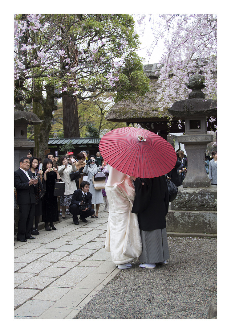 Wedding Day