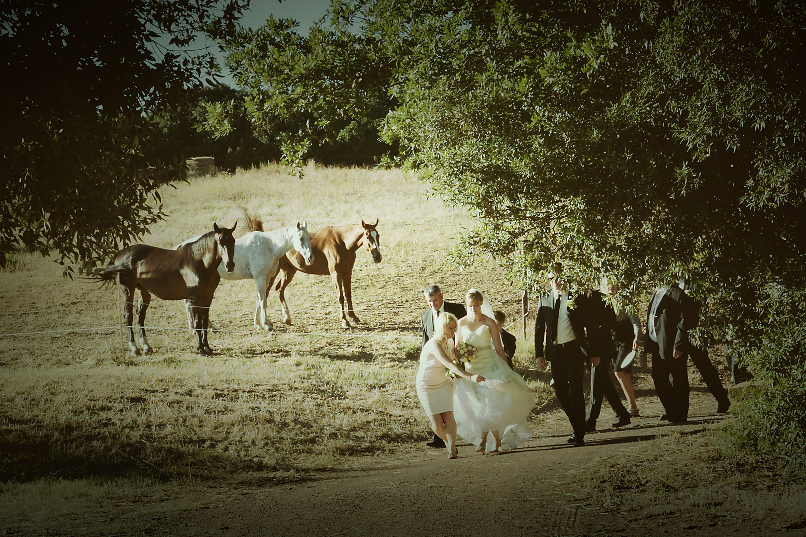 Wedding in Maremma