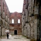 wedding in San Galgano