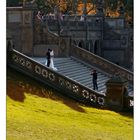 ... Wedding in the Central Park ...