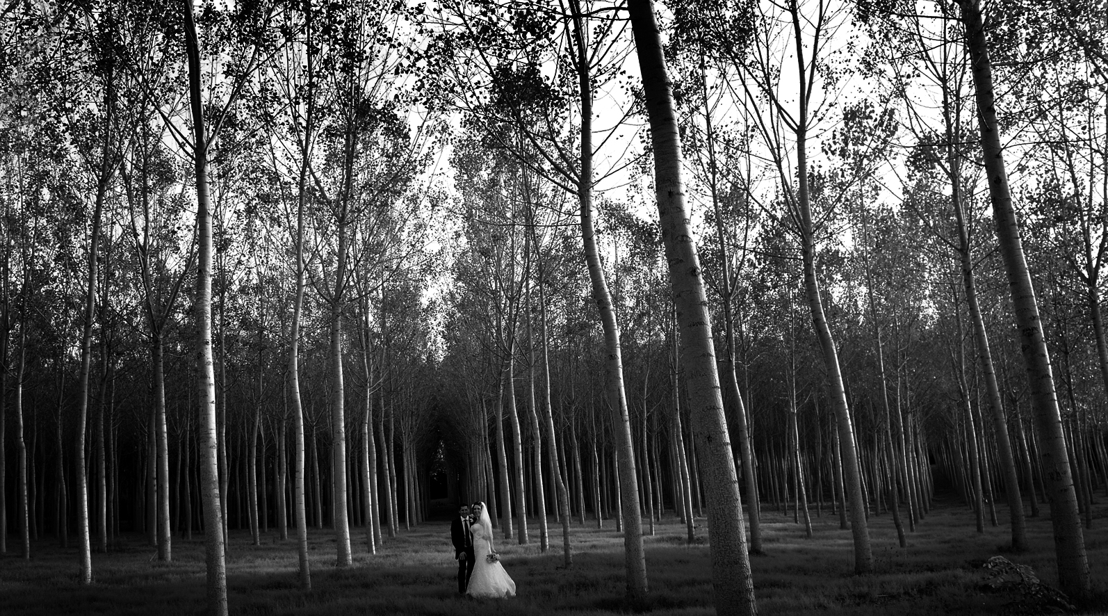 Wedding in Tuscany