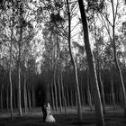 Wedding in Tuscany