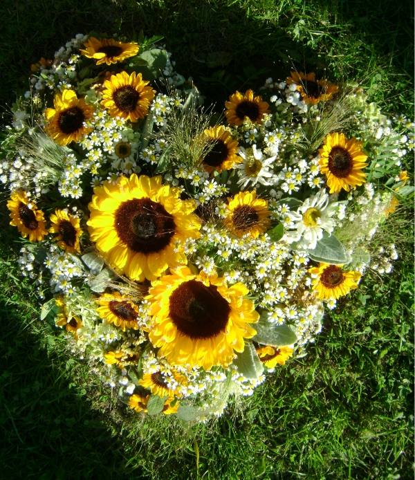 wedding sunflower