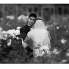 Wedding Touch 2