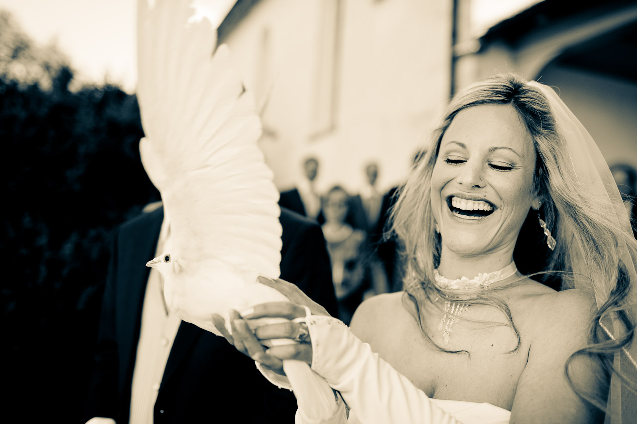 Weddingdove