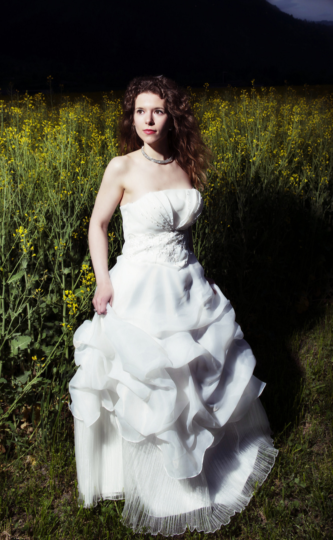 Weddingdress 2