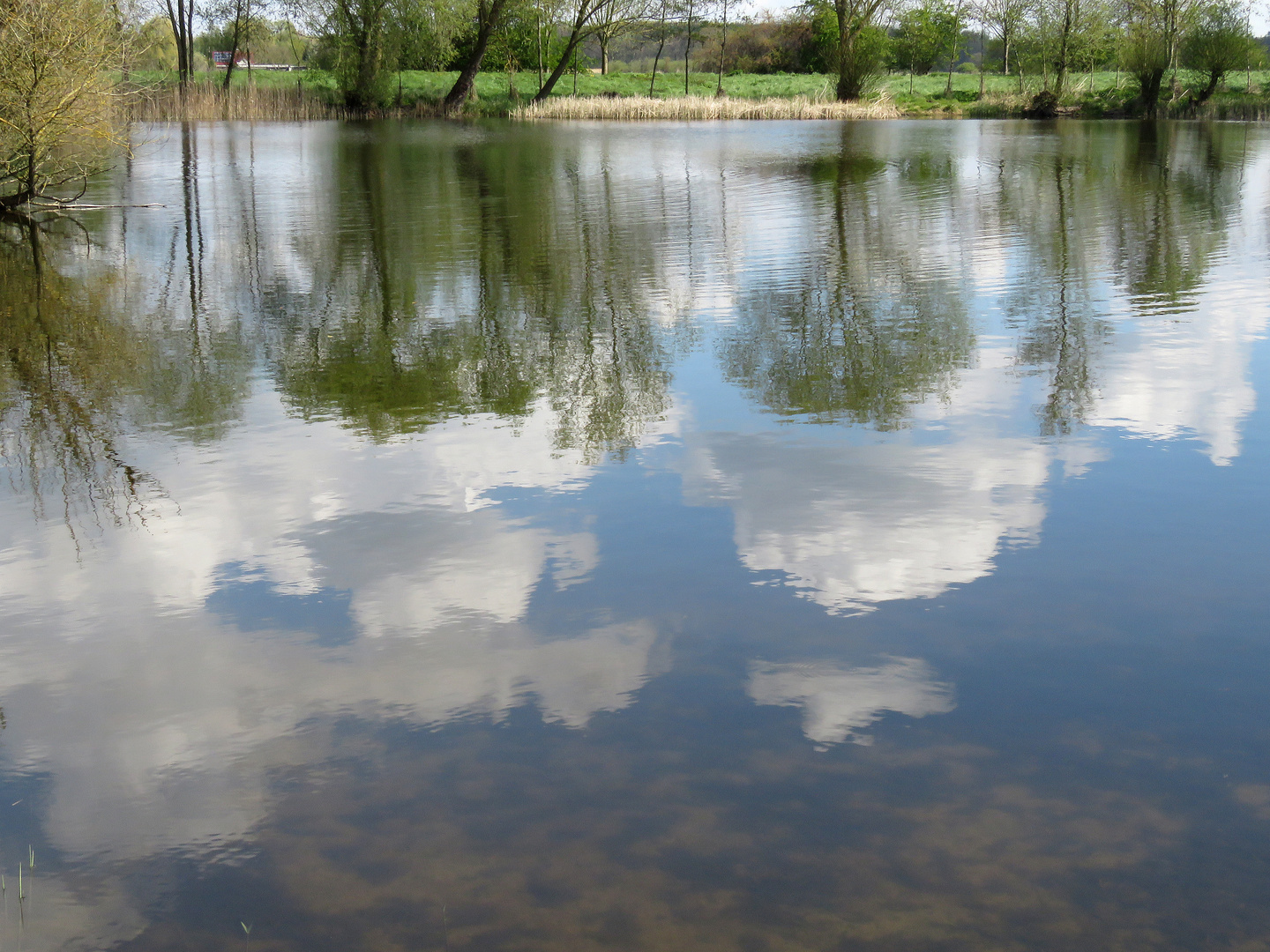 Weder Gänse noch Enten auf dem Wasser,