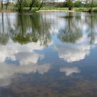 Weder Gänse noch Enten auf dem Wasser,