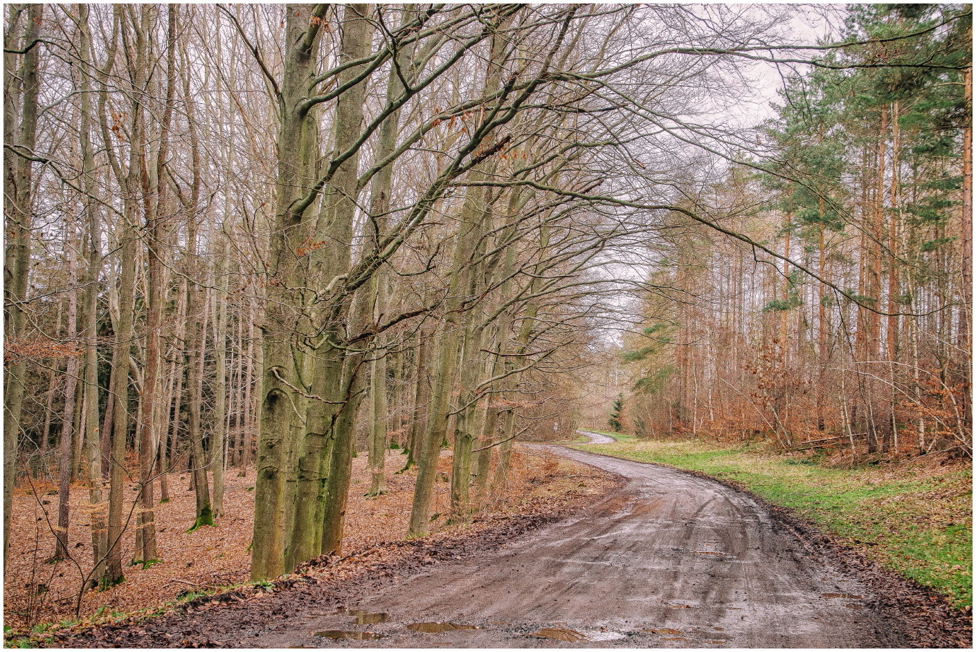 Weder Winter noch Frühling