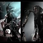 Wednesday 13