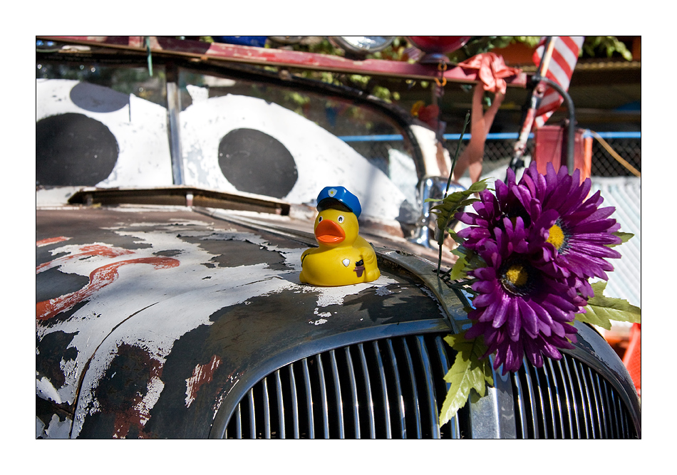 Wednesday flower power duck