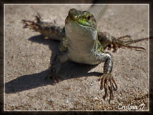 weeee... se son bona!!!