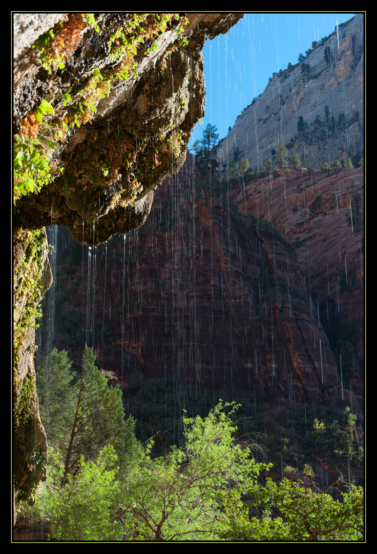 Weeping Rock, Zion NP