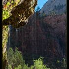 Weeping Rock, Zion NP
