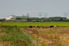 Weesp - Bloemendalerpolder - View on Power Plant Diemen