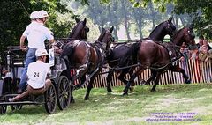 WEG 2006 Aachen - Marathonfahrt der Vierspänner-WM