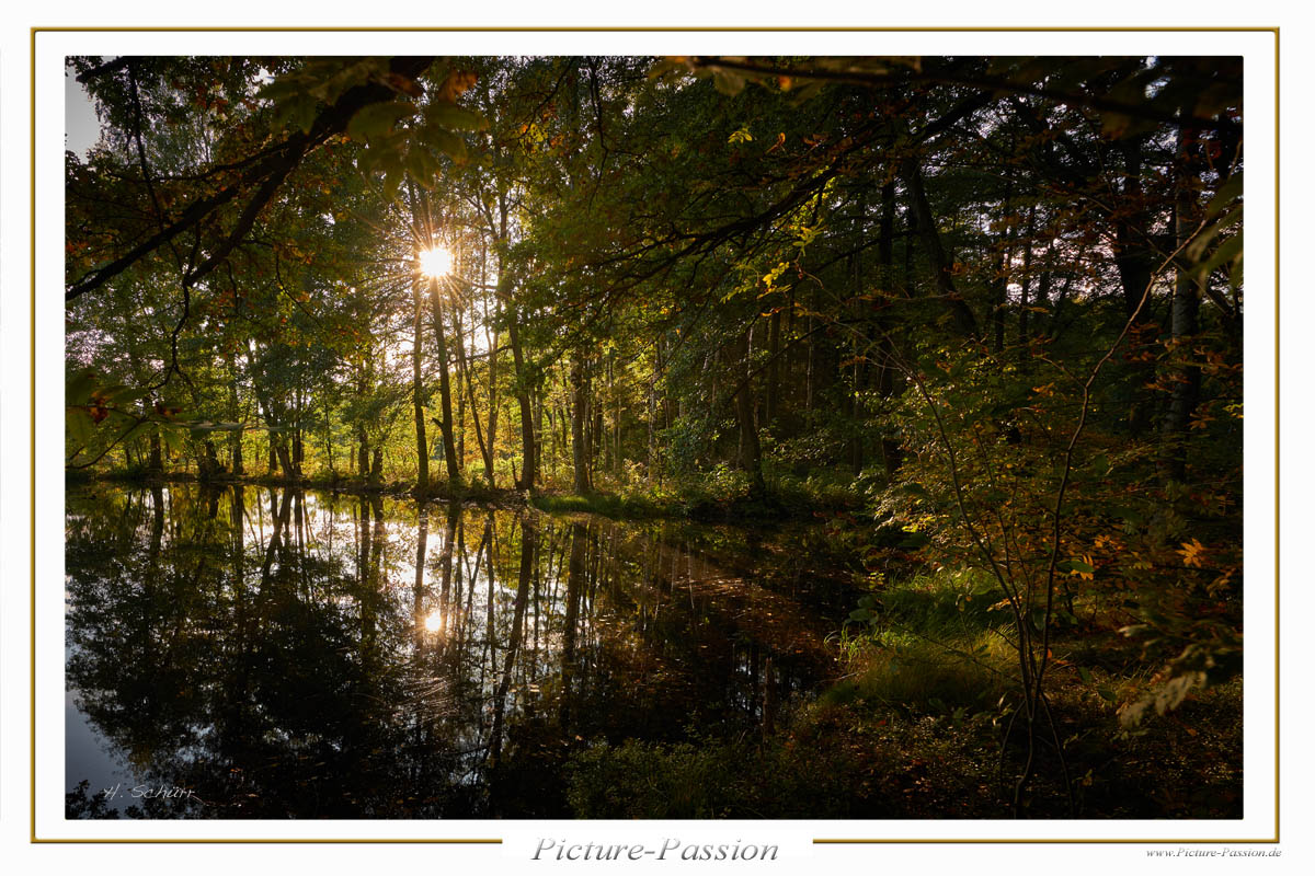 Weg am abendlichen See