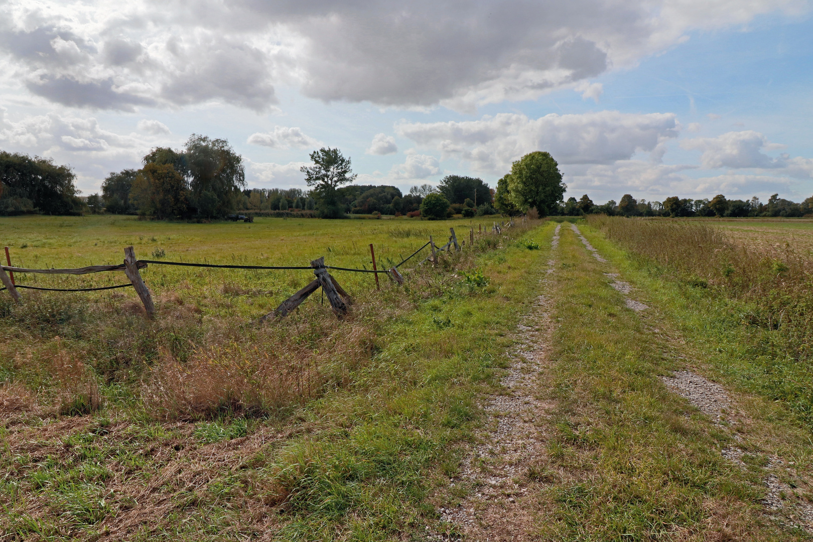 Weg am Feld