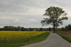 Weg am Feldrand