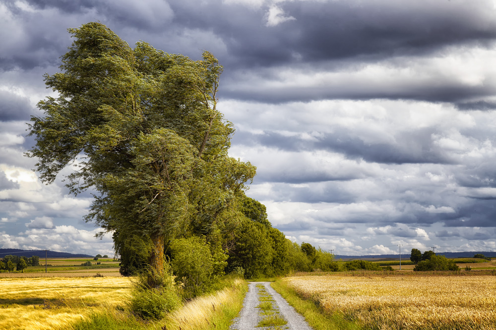 Weg am Feldrand in Unterfranken