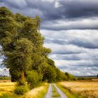 Weg am Feldrand in Unterfranken