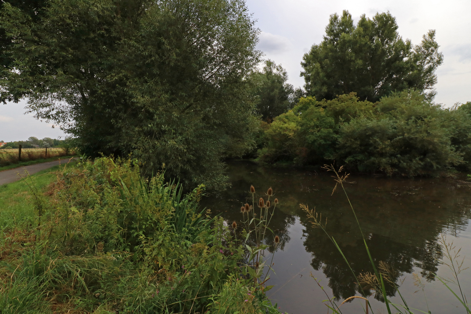 Weg am Flussarm 