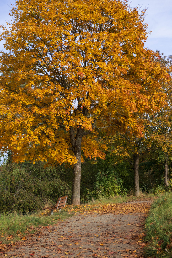 Weg am Giersberg