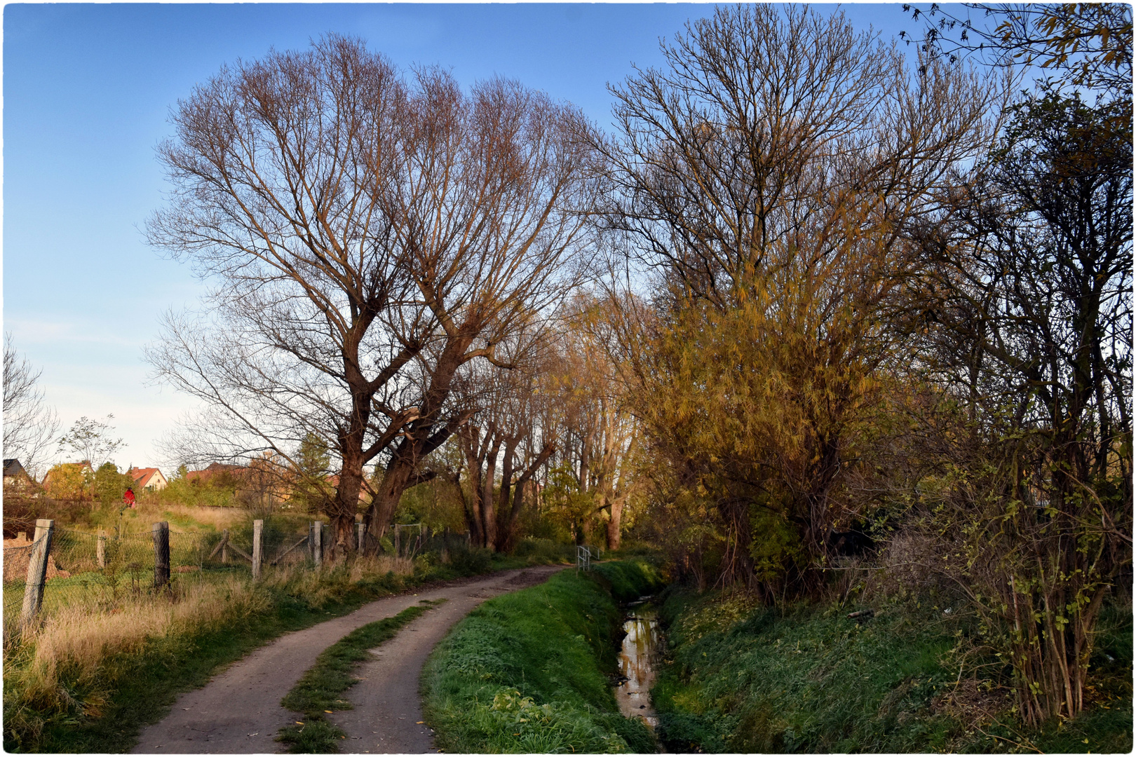 Weg am Goldbach Foto & Bild natur, herbst, landschaft Bilder auf