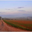 Weg am Hutsberg (camino en la montaña "Hutsberg")