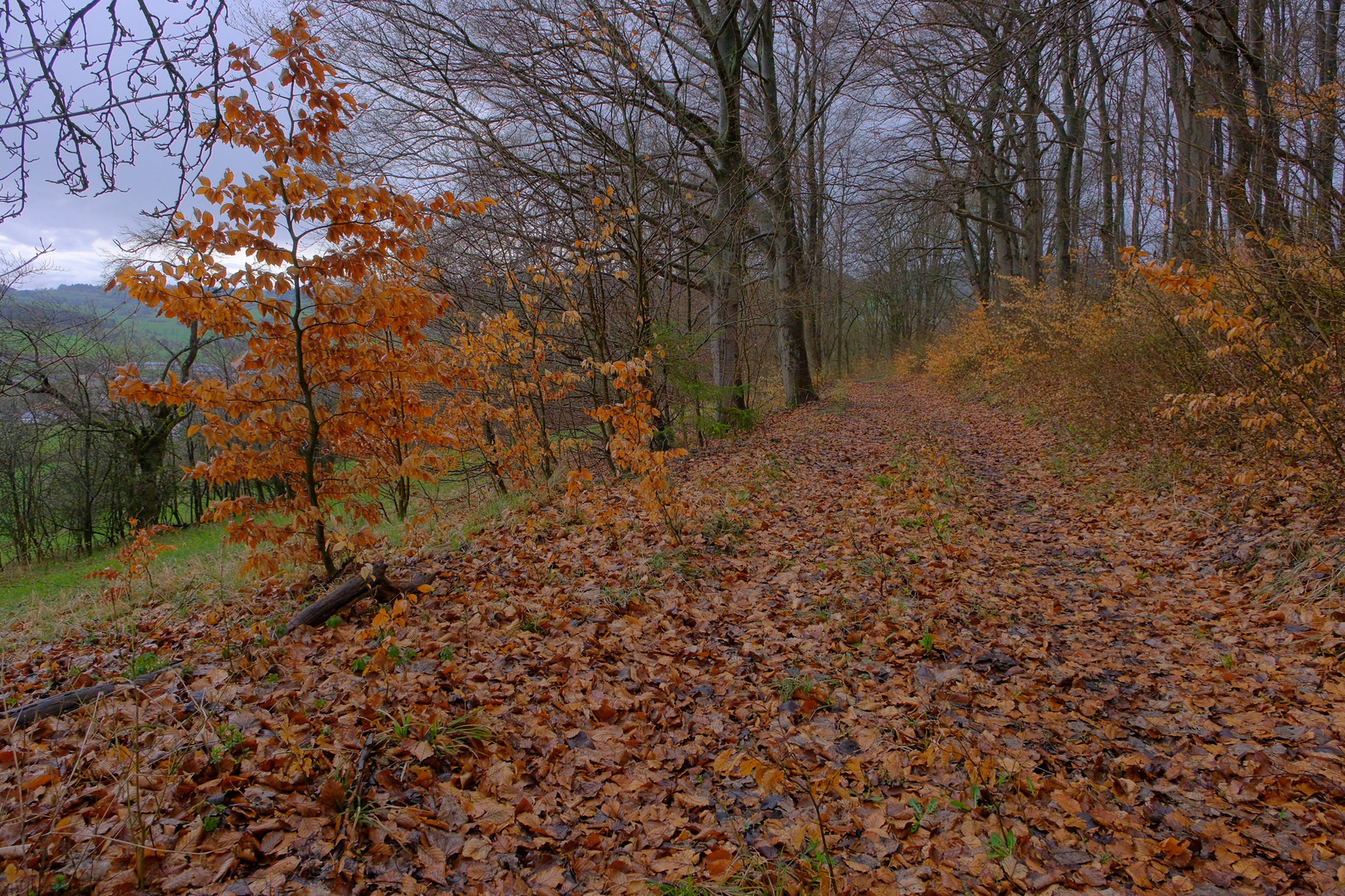 Weg am Hutsberg - Regen