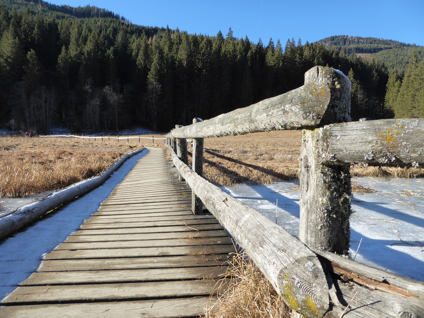 Weg am Jägersee