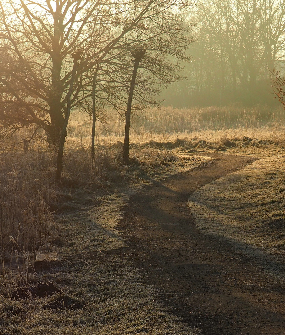 Weg am Morgen