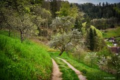 Weg am Mühlenweg in Ottenhöfen