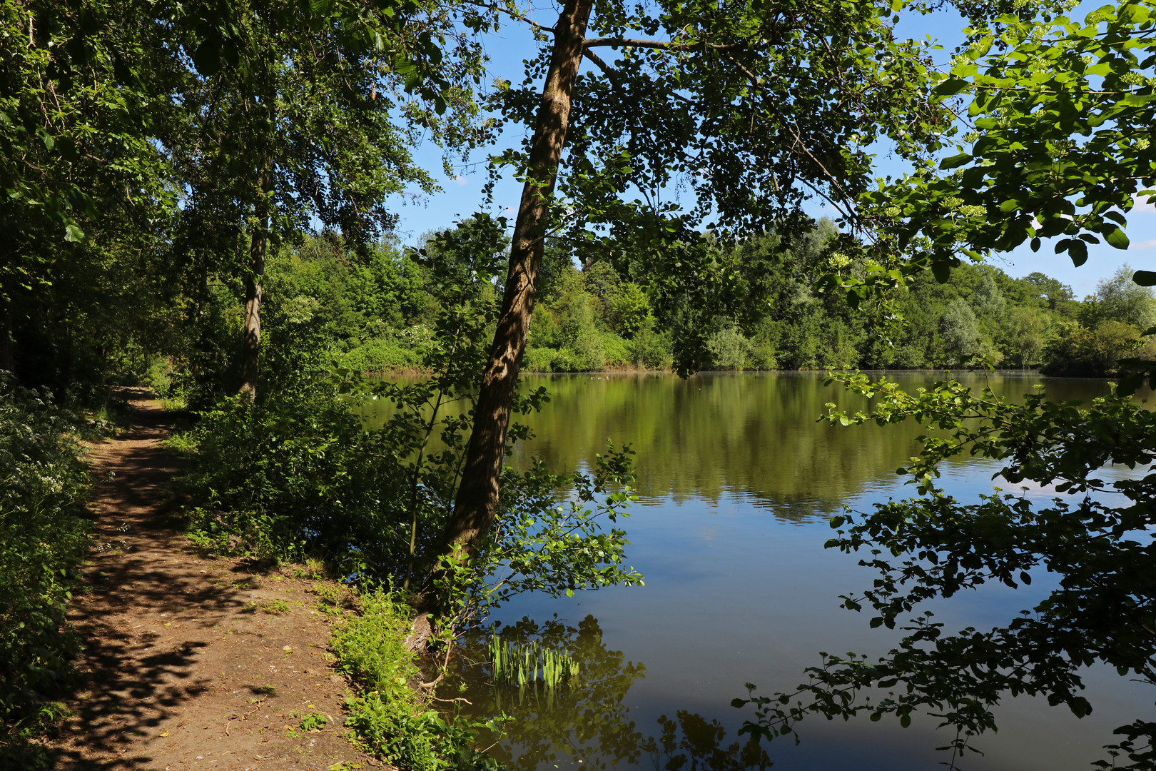 Weg am Quellenteich