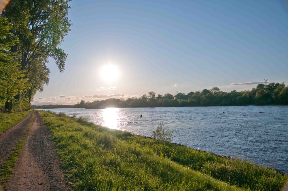 Weg am Rhein (Nähe GKM)