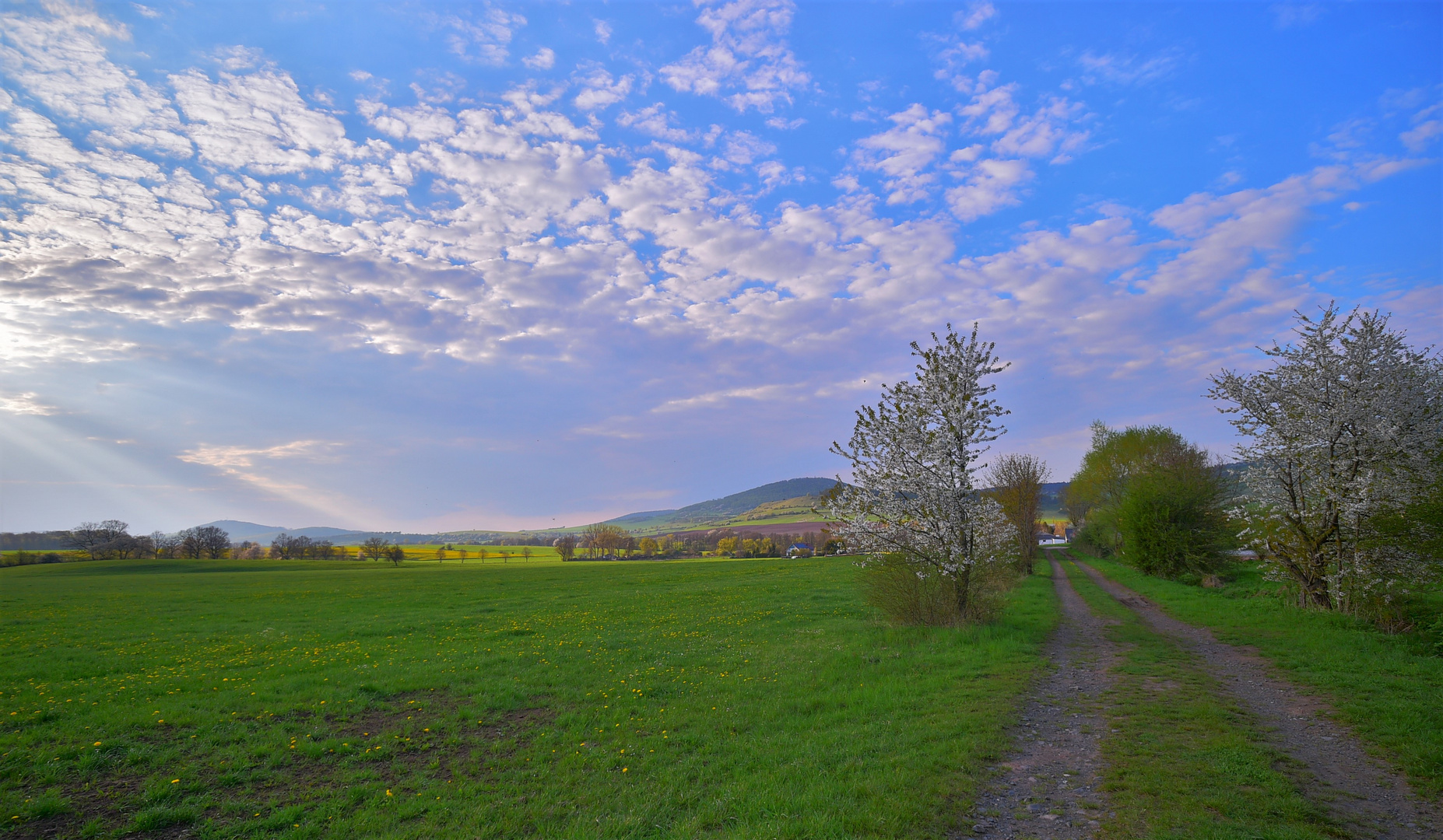 Weg am See