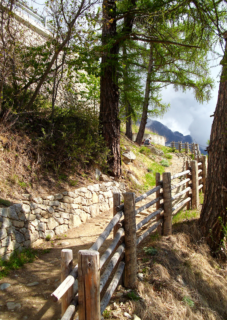 Weg am Sonnberg