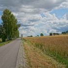 Weg am Sportplatz (camino en el campo de deportes)