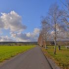 Weg am Sportplatz, heute mittag (camino en el campo de deoportes, hoy mediodía)