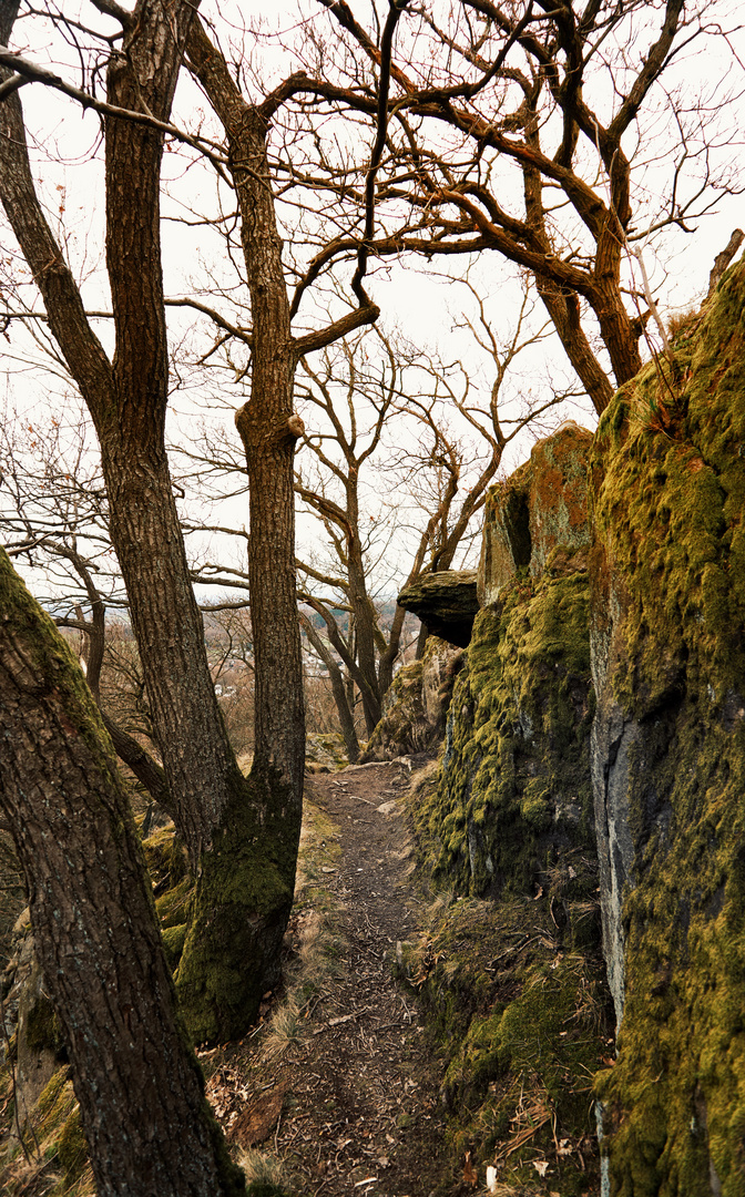 Weg am Stenzelberg