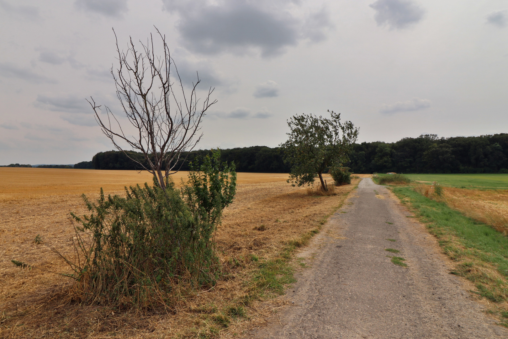 Weg am Stoppelacker