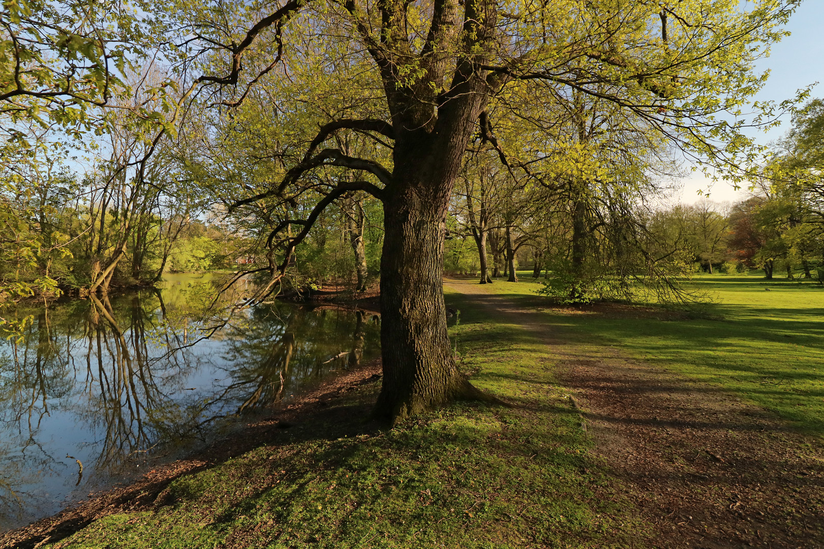 Weg am Südteich