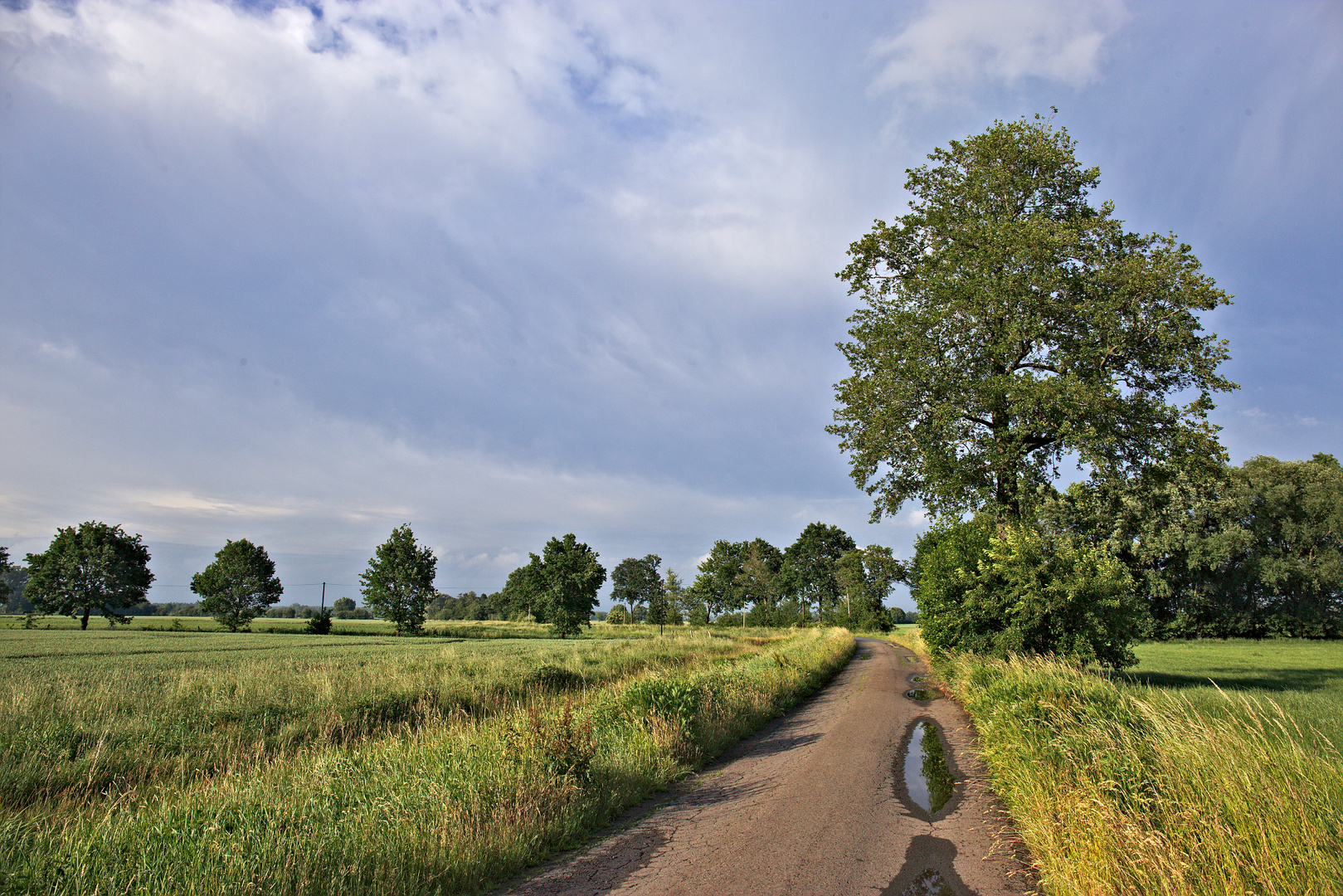 Weg am Süstedter Bach