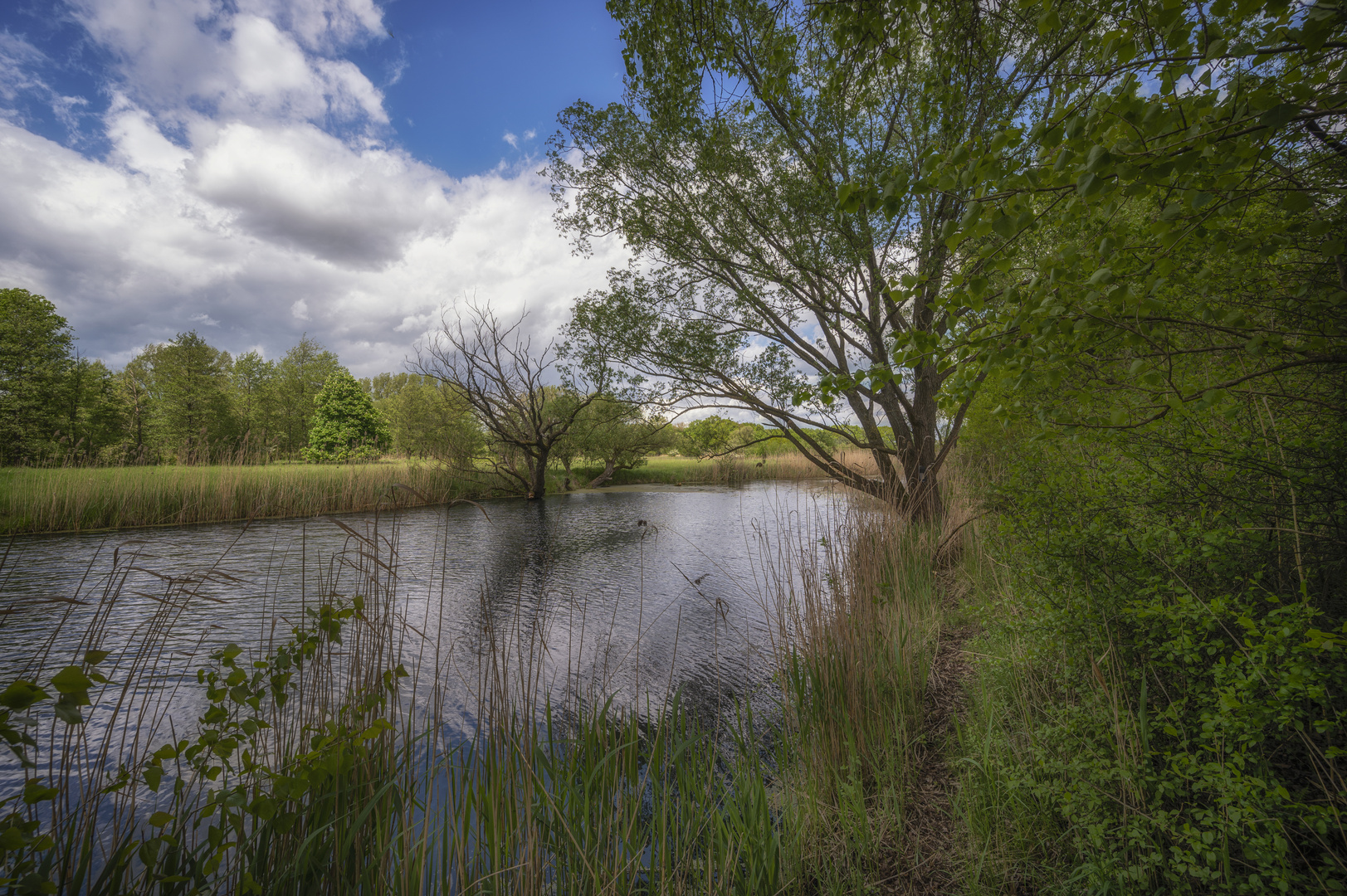 Weg am Teichufer