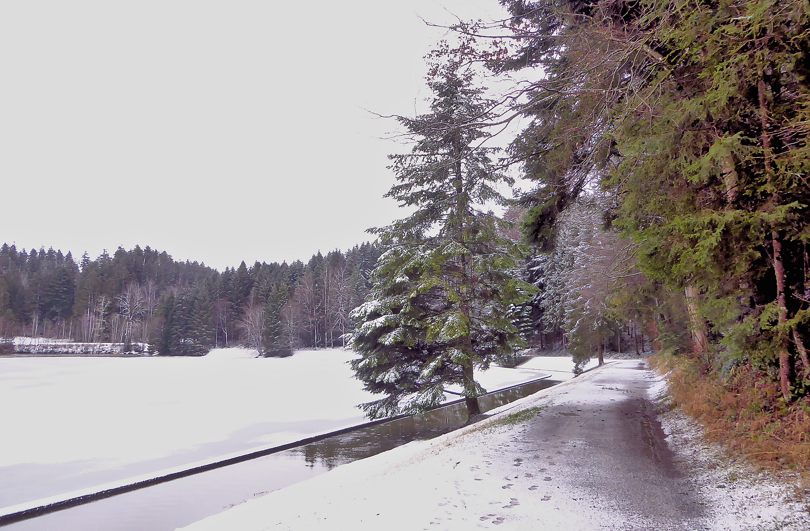 Weg am Teufenbachweiher Schönenberg ZH