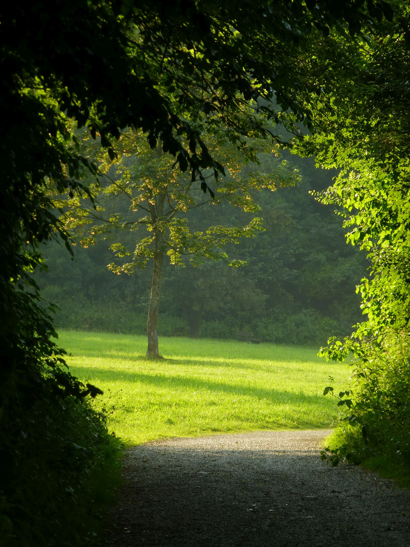 Weg am Thalersee bei Graz